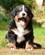 5_weeks_3_.jpg 5_weeks_3_.jpg