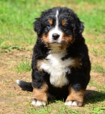 6_weeks_2.jpg 6_weeks_2.jpg