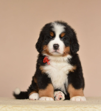 6_weeks_6.jpg