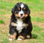 6_weeks_8.jpg 6_weeks_8.jpg