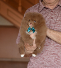 7_weeks_1.jpg