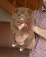 7weeks.jpg 7weeks.jpg