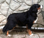 brenda_profil2.jpg