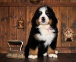 k_red_8weeks.jpg