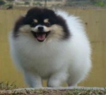 med_565808815271d.jpg med_565808815271d.jpg