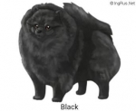 med_5f1cad7ba2e99.jpeg med_5f1cad7ba2e99.jpeg