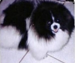 med_60c91ace1f5e8.jpg med_60c91ace1f5e8.jpg