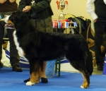 yuliy_tsezar_euro_1.jpg